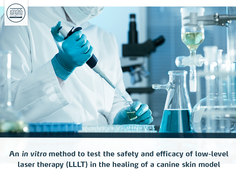 vitro-method-test-safety-efficacy-low-level-laser-therapy