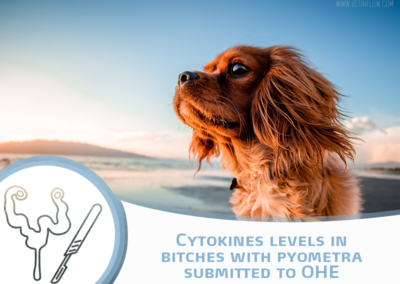 Cytokines levels in bitches with pyometra submitted to OHE