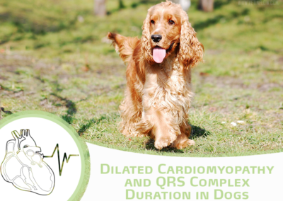 Dilated Cardiomyopathy and QRS Complex Duration in Dogs