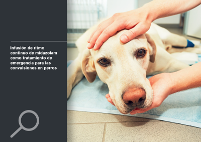 Infusión de ritmo continuo de midazolam como tratamiento de emergencia para las convulsiones en perros