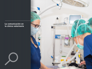La comunicación en la clínica veterinaria