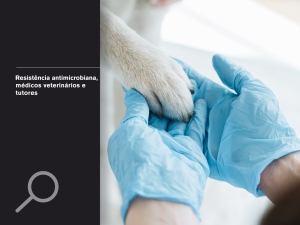 Resistência antimicrobiana, médicos veterinários e tutores