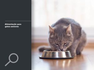 Alimentação para gatos seniores
