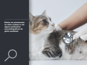 Efeitos do pimobendan no ritmo cardíaco e em alguns parâmetros ecocardiográficos de gatos saudáveis