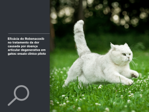 Eficácia do Robenacoxib no tratamento da dor causada por doença articular degenerativa em gatos: ensaio clínico piloto